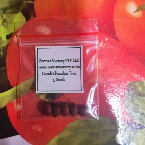 Trees Chocolate Carob (Ceratonia Siliqua) Tree 5 Seeds for sale in